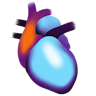 small sized icon representing the Cardiovascular area of interest