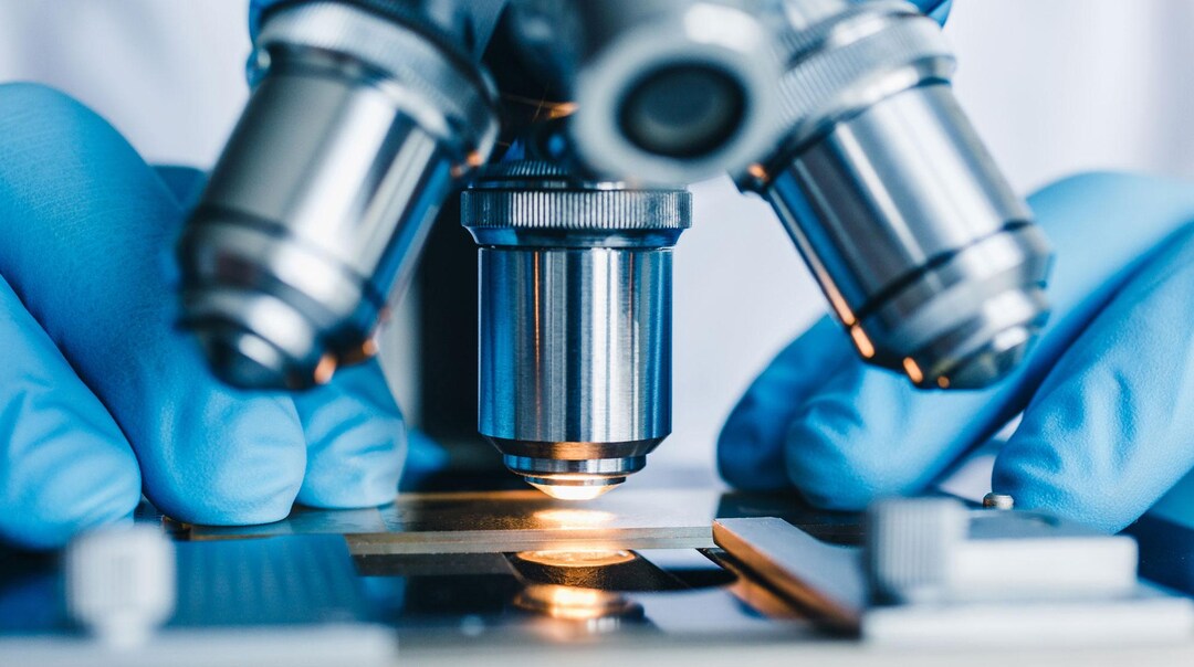un primer plano de un microscopio